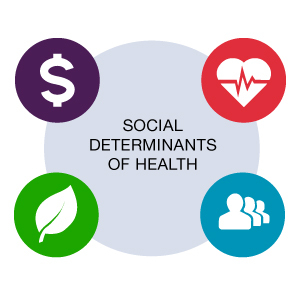 money, health, environment and connections are social determinants of health